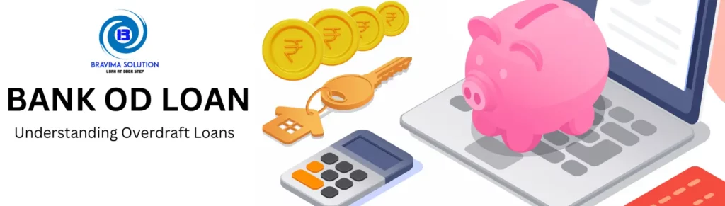 bank OD loan - bravima solution pvt ltd