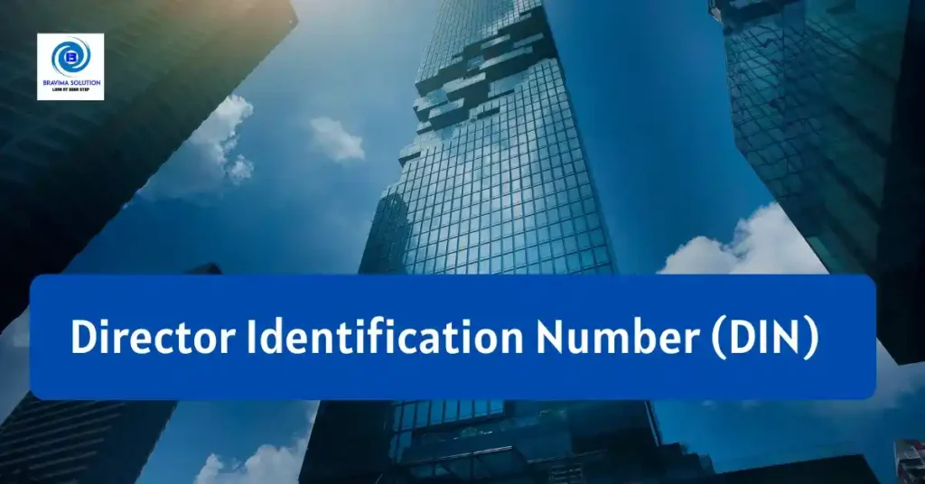 Director identification Number DIN image by Bravima Solution